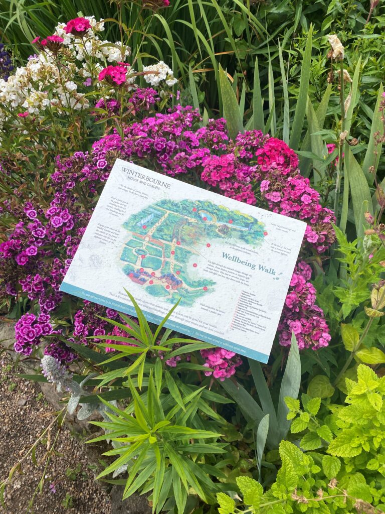 The illustrated Winterbourne map sitting in a bed of pink flowers